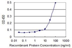 Invitrogen KLHL4 Monoclonal Antibody (4B6) 100 &mu;g; Unconjugated:Antibodies,