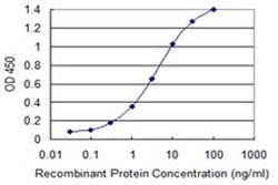 Invitrogen PCDHGB2 Monoclonal Antibody (6E9) 100 &mu;g; Unconjugated:Antibodies,