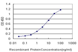 Invitrogen PCDHGA5 Monoclonal Antibody (5H5) 100 &mu;g; Unconjugated:Antibodies,