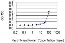 Invitrogen ZNF253 Monoclonal Antibody (1D7) 100 &mu;g; Unconjugated:Antibodies,