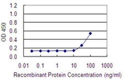 Invitrogen ADCK1 Monoclonal Antibody (1E8) 100 &mu;g; Unconjugated:Antibodies,