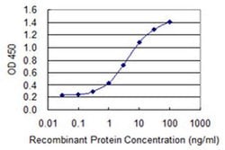 Invitrogen ZNF287 Monoclonal Antibody (3A2) 100 &mu;g; Unconjugated:Antibodies,
