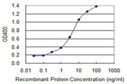 Invitrogen ZNF287 Monoclonal Antibody (3E12) 100 &mu;g; Unconjugated:Antibodies,