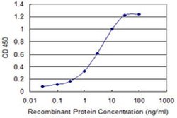 Invitrogen SH3RF1 Monoclonal Antibody (1F7) 100 &mu;g; Unconjugated:Antibodies,