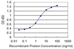 Invitrogen LRRC4C Monoclonal Antibody (1G5) 100 &mu;g; Unconjugated:Antibodies,