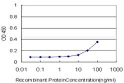 Invitrogen NCOA5 Monoclonal Antibody (1E9) 100 &mu;g; Unconjugated:Antibodies,