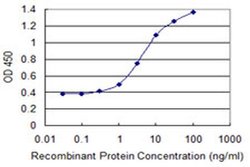 Invitrogen ZNF71 Monoclonal Antibody (3F4) 100 &mu;g; Unconjugated:Antibodies,