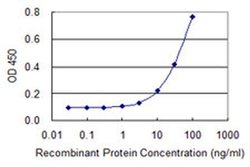 Invitrogen IQCH Monoclonal Antibody (4H3) 100 &mu;g; Unconjugated:Antibodies,