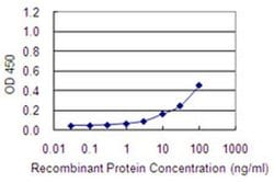 Invitrogen COA7 Monoclonal Antibody (1G11-1C4) 100 &mu;g; Unconjugated:Antibodies,