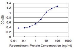 Invitrogen ZNF447 Monoclonal Antibody (2H1) 100 &mu;g; Unconjugated:Antibodies,