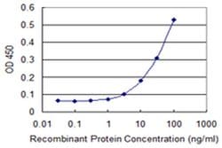 Invitrogen FSD1 Monoclonal Antibody (1G3) 100 &mu;g; Unconjugated:Antibodies,