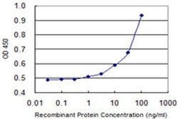 Invitrogen GALNT14 Monoclonal Antibody (2A8) 100 &mu;g; Unconjugated:Antibodies,