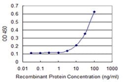 Invitrogen PANK3 Monoclonal Antibody (3D7) 100 &mu;g; Unconjugated:Antibodies,