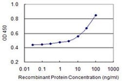 Invitrogen Gemin 7 Monoclonal Antibody (4H6) 100 &mu;g; Unconjugated:Antibodies,