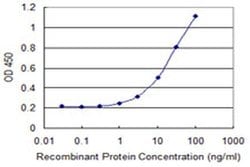 Invitrogen SUGCT Monoclonal Antibody (2B11) 100 &mu;g; Unconjugated:Antibodies,