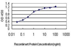 Invitrogen LONRF3 Monoclonal Antibody (1D5) 100 &mu;g; Unconjugated:Antibodies,