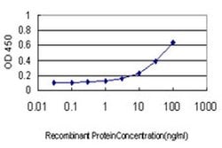 Invitrogen ARF7 Monoclonal Antibody (2C8) 100 &mu;g; Unconjugated:Antibodies,