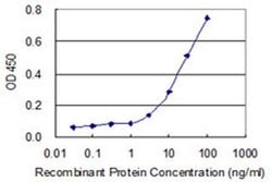 Invitrogen™ SPSB1 Monoclonal Antibody (3E7)