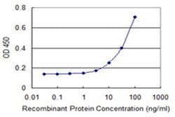 Invitrogen GRINL1A Monoclonal Antibody (2E4) 100 &mu;g; Unconjugated:Antibodies,