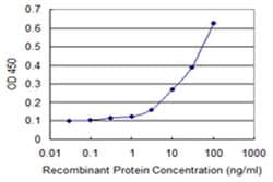 Invitrogen ZNF397 Monoclonal Antibody (1F8) 100 &mu;g; Unconjugated:Antibodies,