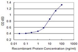 Invitrogen AMID Monoclonal Antibody (3A11) 100 &mu;g; Unconjugated:Antibodies,