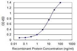 Invitrogen TNFRSF19L Monoclonal Antibody (3F8) 100 &mu;g; Unconjugated:Antibodies,