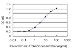 Invitrogen PIMT Monoclonal Antibody (3F1) 100 &mu;g; Unconjugated:Antibodies,