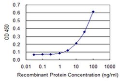 Invitrogen GALNT13 Monoclonal Antibody (3F3) 100 &mu;g; Unconjugated:Antibodies,