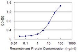 Invitrogen SNX20 Monoclonal Antibody (4E9) 100 &mu;g; Unconjugated:Antibodies,