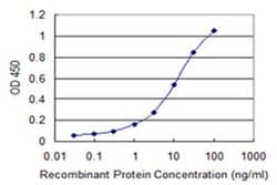 Invitrogen MSI2 Monoclonal Antibody (3B6) 100 &mu;g; Unconjugated:Antibodies,