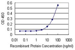 Invitrogen POU5F2 Monoclonal Antibody (3E3) 100 &mu;g; Unconjugated:Antibodies,
