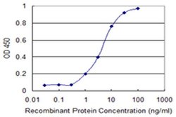 Invitrogen SFRS12 Monoclonal Antibody (1D11) 100 &mu;g; Unconjugated:Antibodies,