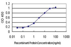 Invitrogen DYDC1 Monoclonal Antibody (1B11) 100 &mu;g; Unconjugated:Antibodies,