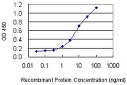 Invitrogen MIPOL1 Monoclonal Antibody (1B7) 100 &mu;g; Unconjugated:Antibodies,