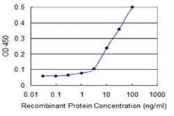 Invitrogen DCST1 Monoclonal Antibody (2C12) 100 &mu;g; Unconjugated:Antibodies,