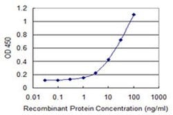 Invitrogen PDIK1L Monoclonal Antibody (4B7) 100 &mu;g; Unconjugated:Antibodies,