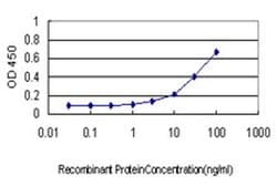 Invitrogen Septin-10 Monoclonal Antibody (2A12) 100 &mu;g; Unconjugated:Antibodies,