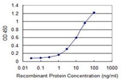 Invitrogen RNF133 Monoclonal Antibody (3D6) 100 &mu;g; Unconjugated:Antibodies,