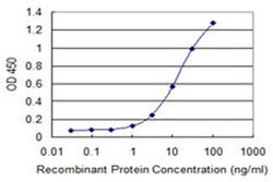 Invitrogen CCDC83 Monoclonal Antibody (3E3) 100 &mu;g; Unconjugated:Antibodies,
