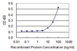 Invitrogen TL132 Monoclonal Antibody (3A2) 100 &mu;g; Unconjugated:Antibodies,