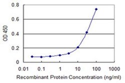 Invitrogen Adenylate Kinase 9 Monoclonal Antibody (1H8) 100 &mu;g; Unconjugated:Antibodies,