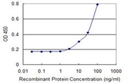 Invitrogen UNC5CL Monoclonal Antibody (3G7) 100 &mu;g; Unconjugated:Antibodies,