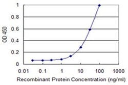 Invitrogen ZNF396 Monoclonal Antibody (2F8) 100 &mu;g; Unconjugated:Antibodies,