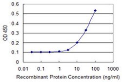 Invitrogen GK5 Monoclonal Antibody (2C11) 100 &mu;g; Unconjugated:Antibodies,
