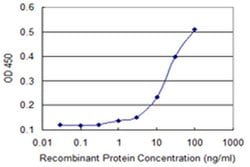 Invitrogen NACA2 Monoclonal Antibody (4H6) 100 &mu;g; Unconjugated:Antibodies,
