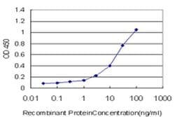 Invitrogen KCTD4 Monoclonal Antibody (2C8) 100 &mu;g; Unconjugated:Antibodies,