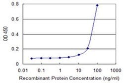 Invitrogen ZKSCAN4 Monoclonal Antibody (1D2) 100 &mu;g; Unconjugated:Antibodies,