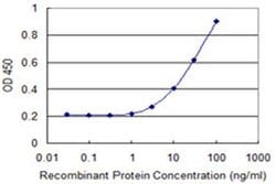 Invitrogen HAPLN4 Monoclonal Antibody (1C1) 100 &mu;g; Unconjugated:Antibodies,