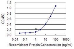 Invitrogen IDNK Monoclonal Antibody (1H4) 100 &mu;g; Unconjugated:Antibodies,