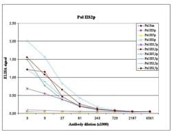 Invitrogen Phospho-RNA pol II CTD (Ser2) Monoclonal Antibody 50 &mu;g;